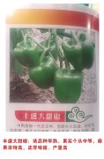 丰盛大甜椒