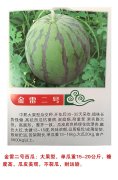 金雷二号西瓜