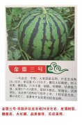 金雷三号
