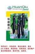 明月茄子