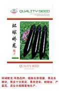 环球蛟龙