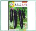 黑宝石三号