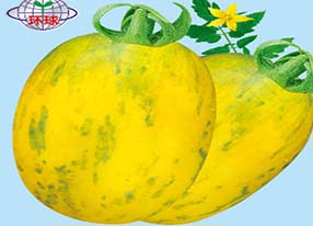 虎皮番茄