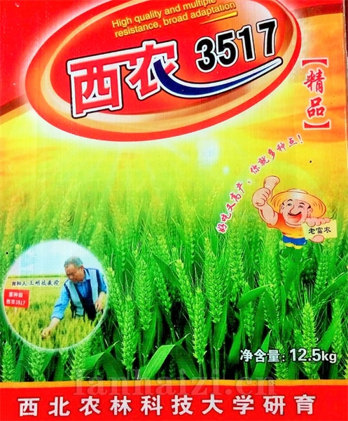 西农3517