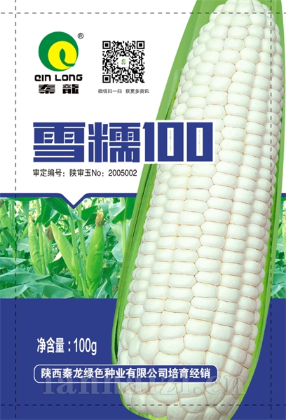雪糯100