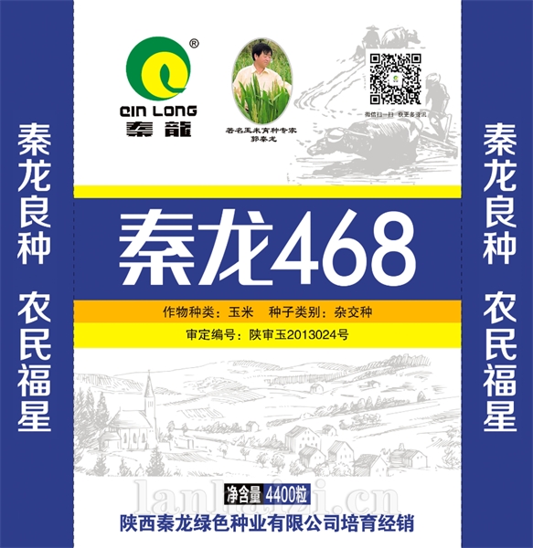 秦龙468