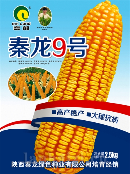 秦龙9号