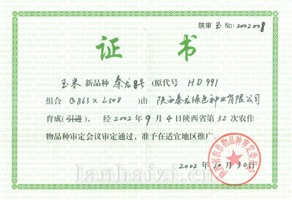 秦龙8号