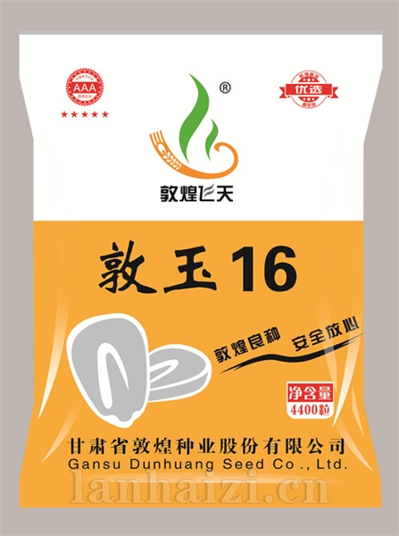 敦玉16