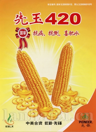 先玉420