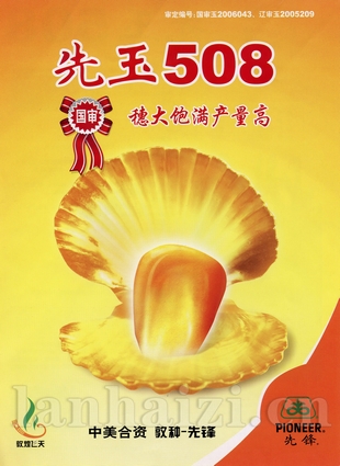 先玉508