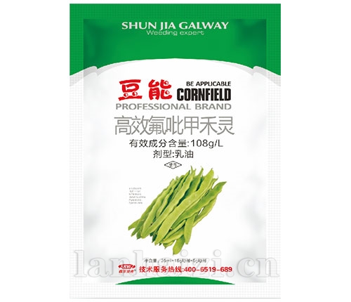 豆能