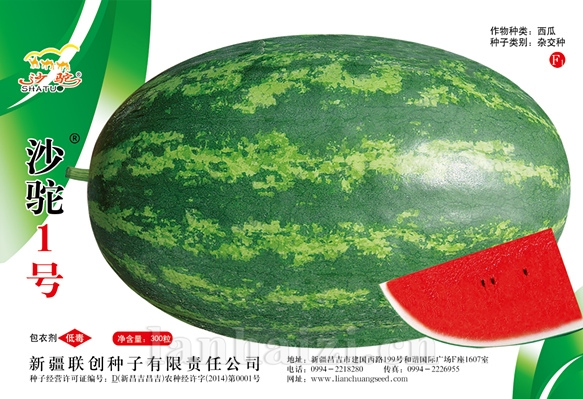 沙驼1号—甜瓜种子