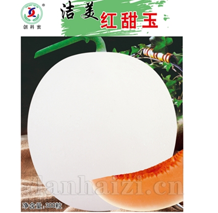洁美红甜玉—甜瓜种子