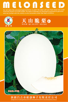 天山脆梨—香瓜种子