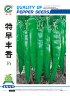 特早丰香——尖椒类