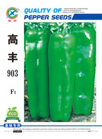 高丰903——泡椒类