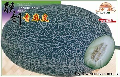 青麻皮—甜瓜种子