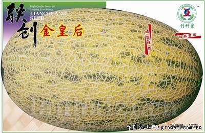 金皇后—甜瓜种子