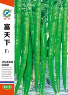 富天下——线椒类