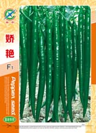 娇艳——线椒类