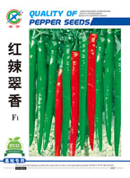 红辣翠香——线椒类