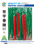 世宇香辣317——线椒类