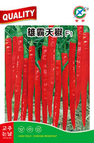雄霸天椒——线椒类