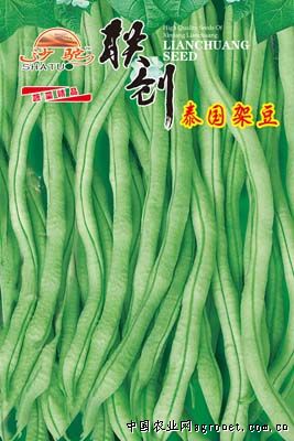 泰国架豆王—豇豆种子