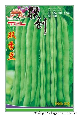 双季豆—豇豆种子