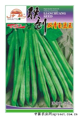 双青玉豆王—豇豆种子