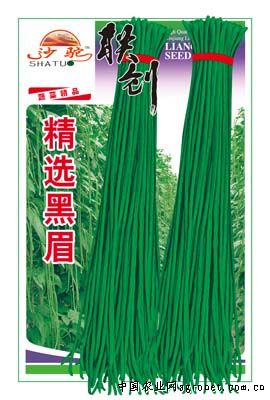 精选黑眉—豇豆种子