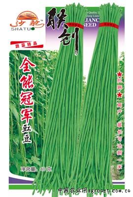 全能冠军豇豆—豇豆种子