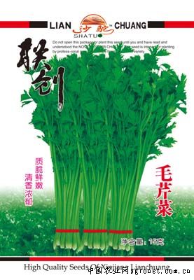 毛芹菜—芹菜种子