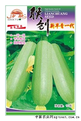 新早青一代—西葫芦种子