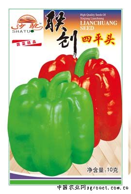 四平头—辣椒种子