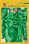 飞越