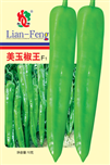 美玉椒王