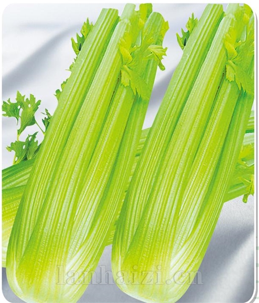 钻石——芹菜