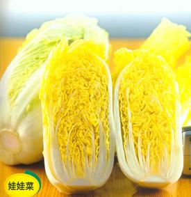 强盛——娃娃菜