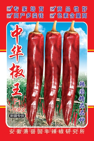 中华椒王