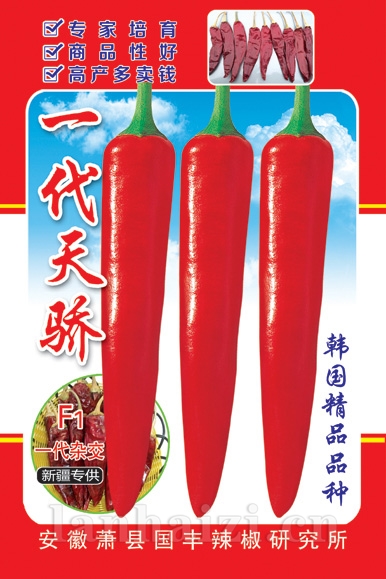 一代天骄