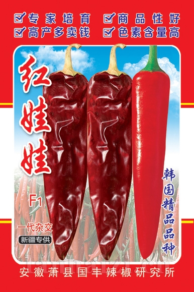 红娃娃