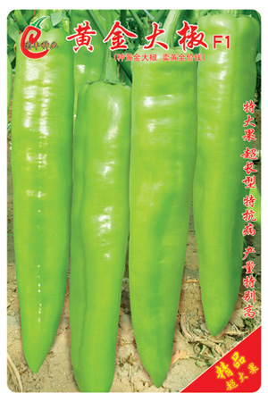 黄金大椒