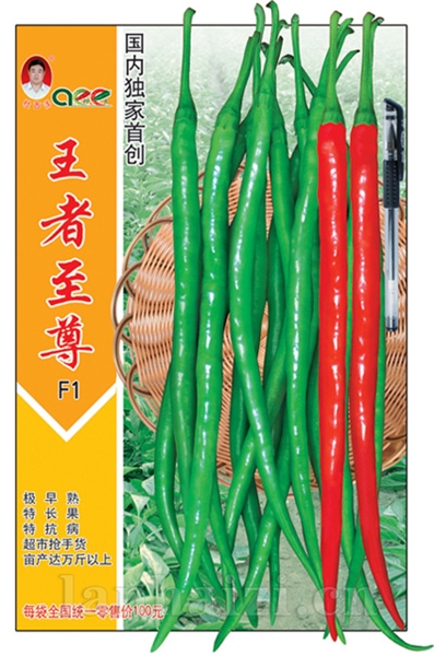 王者至尊