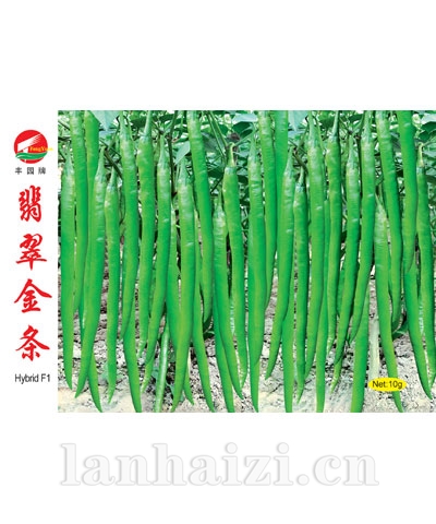 翡翠金条