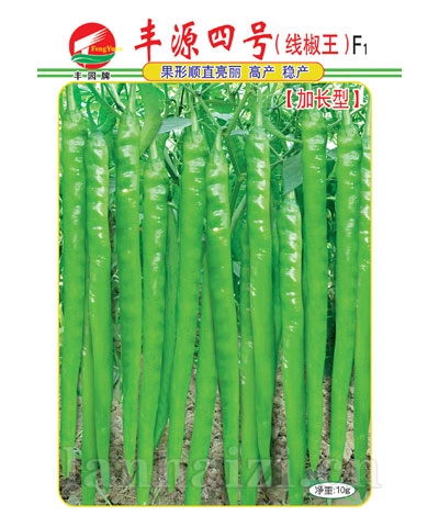 丰源四号