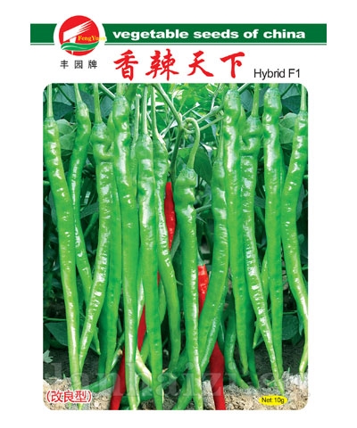 香辣天下