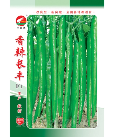 香辣长丰