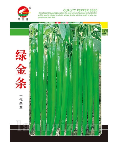 绿金条